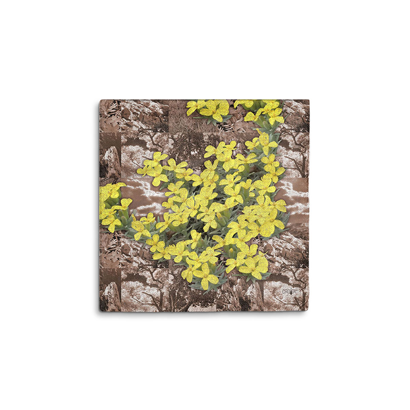 Scarf CROATA Dubrovnik Thematic Scarf, thematic Velebit mountain Brown  Wool 48%, Silk 35%, Cashmere 17%  